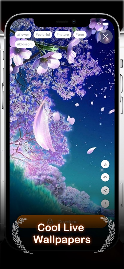 AirLive4K壁纸