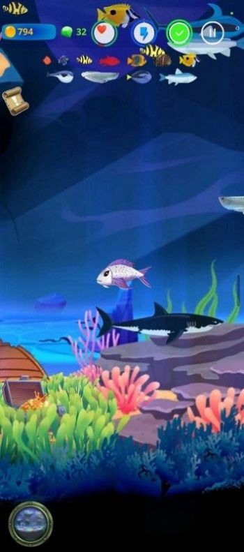 养鱼喂养和种植 养鱼喂养和种植