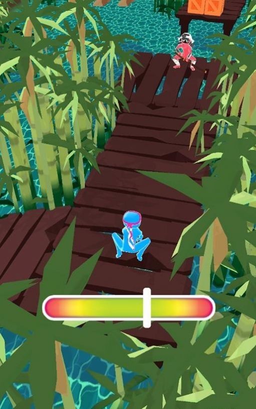 Perfect Ninja