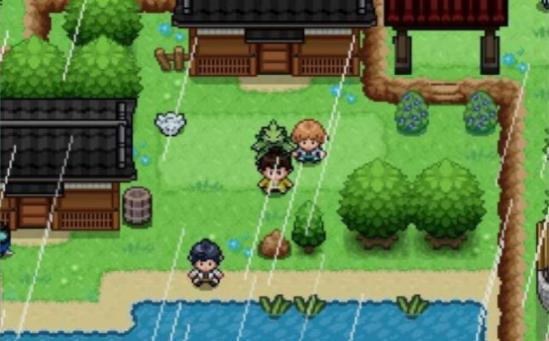 宝可梦武士道 宝可梦武士道