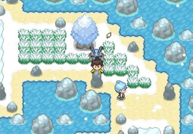 宝可梦武士道 宝可梦武士道