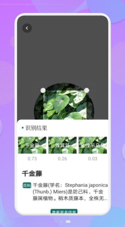 拍照事物伴侣