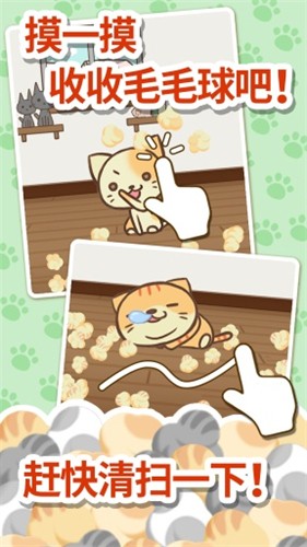 猫咪的毛