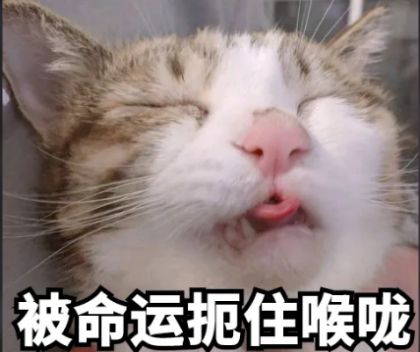 天天被人捅嗓子眼表情包