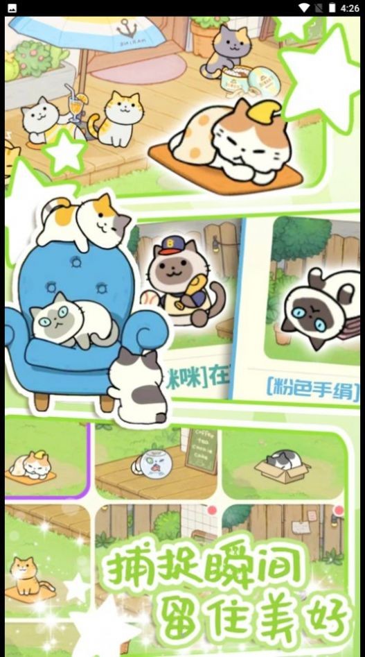 地铁遇见猫 地铁遇见猫