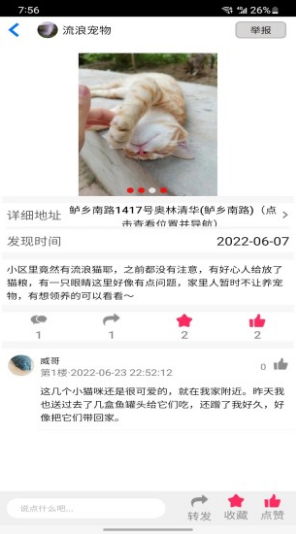 流浪宠物