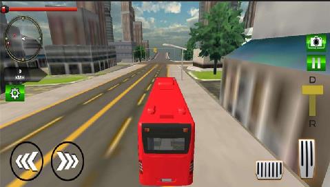 豪华旅游城市公交车司机