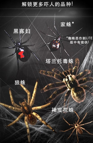巨型蜘蛛恶作剧 巨型蜘蛛恶作剧