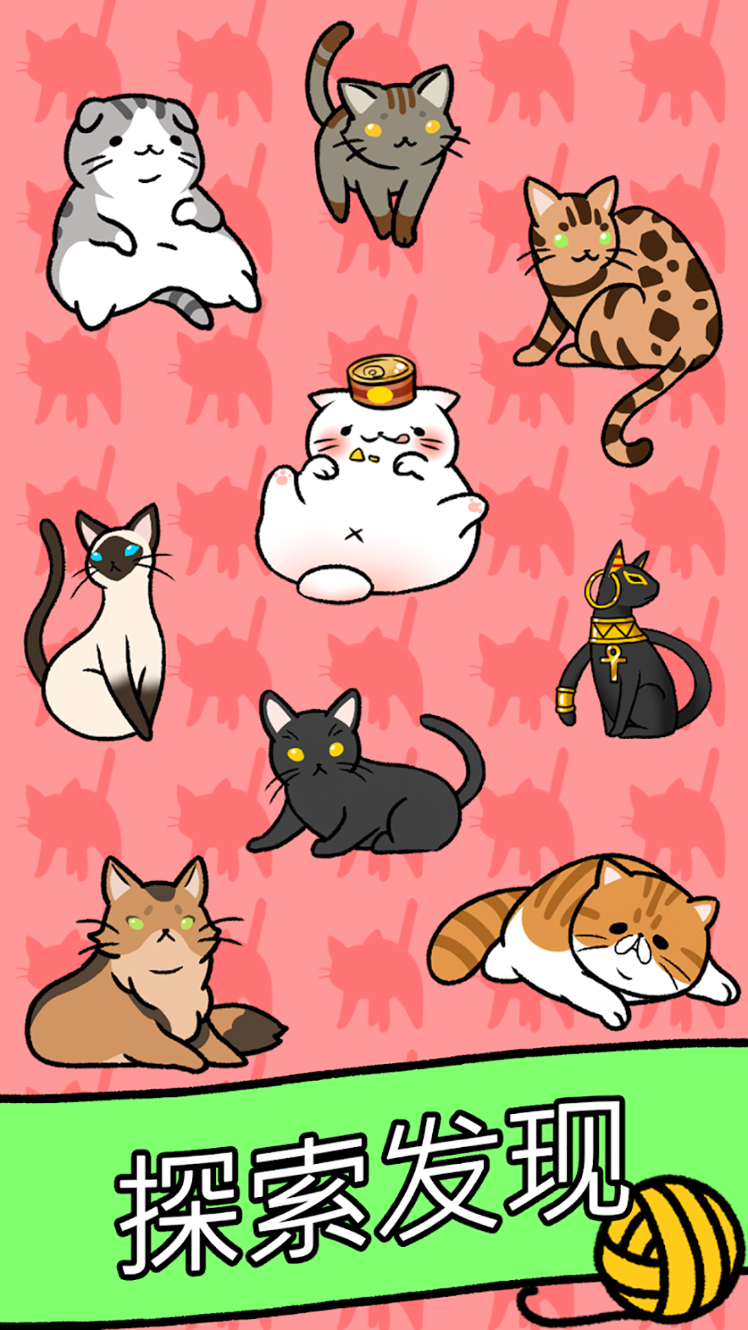 小美的宠物店 小美的宠物店