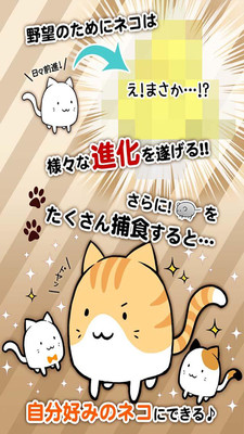这是猫咪吗 这是猫咪吗