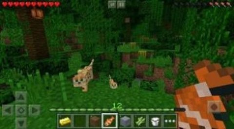 Skins for MCPE