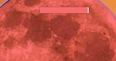 迈特凯幸存者 迈特凯幸存者