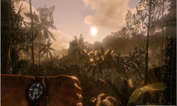 绿色森林地狱生存