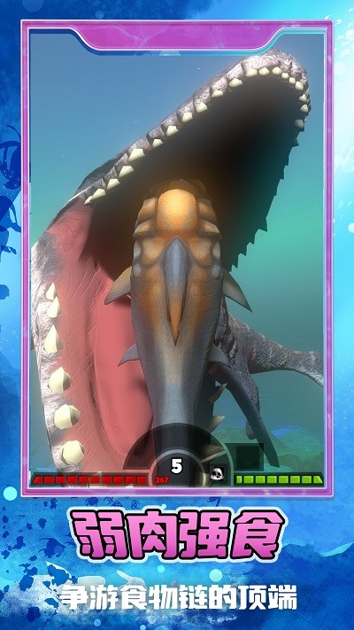 一起去捞鱼 一起去捞鱼