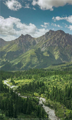 河北森林督查 河北森林督查