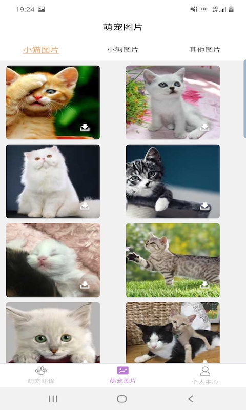 爱宠物翻译 爱宠物翻译