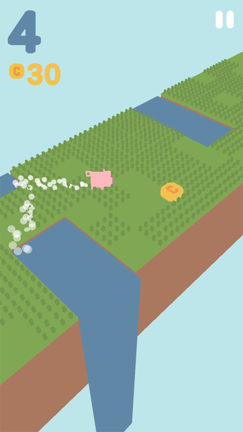 奔跑的猪 奔跑的猪