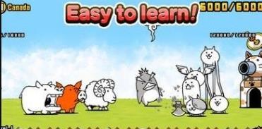 猫猫战队 猫猫战队