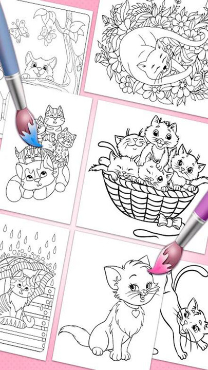 小猫着色 小猫着色