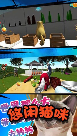 极速流浪猫 极速流浪猫