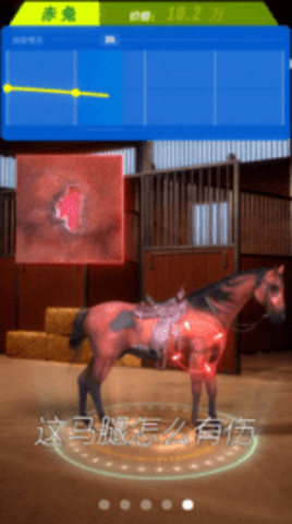 赛马也疯狂无限金币版 赛马也疯狂无限金币版