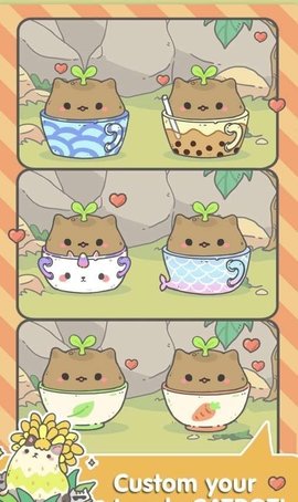 我的小猫花 我的小猫花