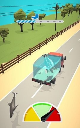 装满货物运输 装满货物运输