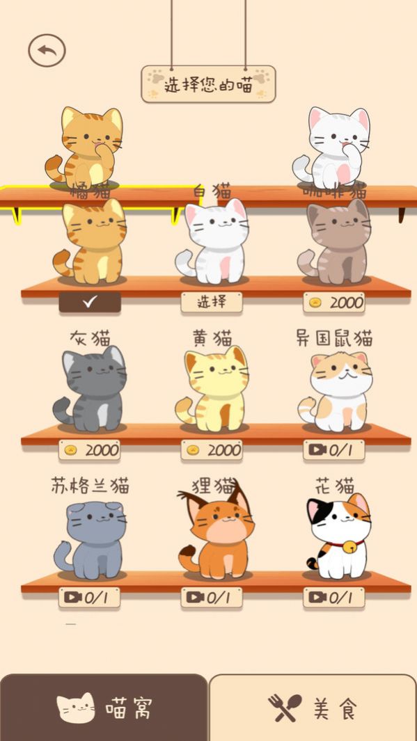 夏天的乐队 夏天的乐队