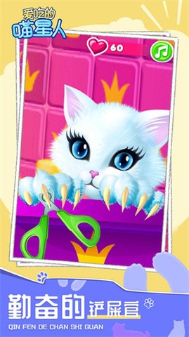 爱吃的喵星人 爱吃的喵星人