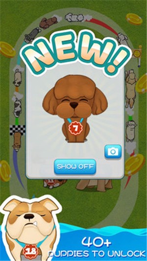 聪明的狗 聪明的狗