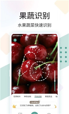 识花君拍照识别植物 识花君拍照识别植物