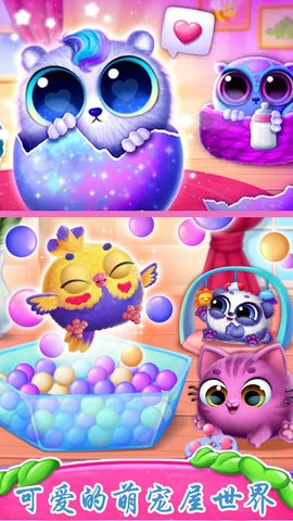 可爱的萌宠屋世界 可爱的萌宠屋世界