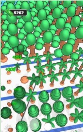 橡胶丛林 橡胶丛林