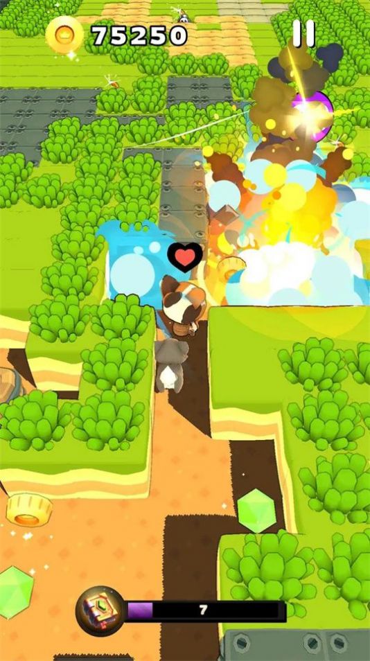 常青小岛 常青小岛