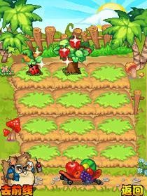 丛林奇兵 丛林奇兵