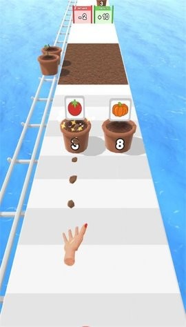 种花跑者 种花跑者