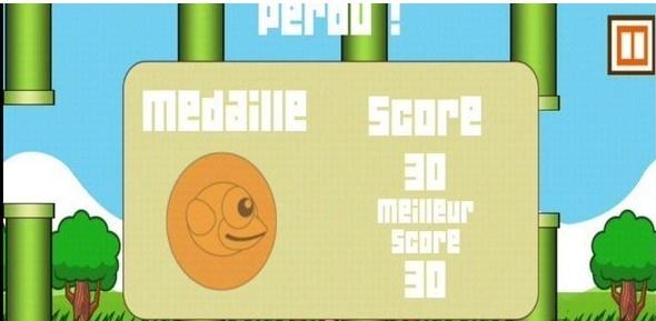 飞翔一只鸟 飞翔一只鸟