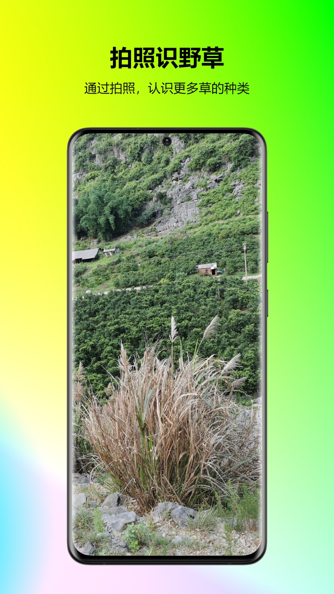 万能拍照识花 万能拍照识花