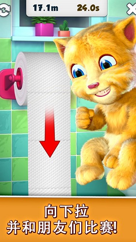 会说话的金结猫 会说话的金结猫