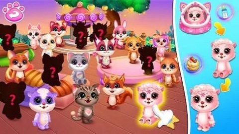 可爱宠物护理屋 可爱宠物护理屋