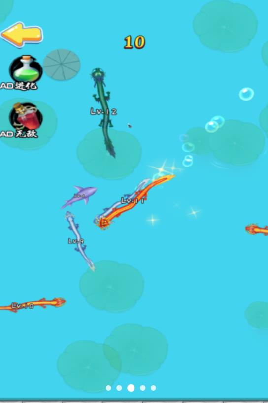 西瓜进化 西瓜进化