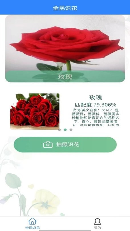 全民识花 全民识花