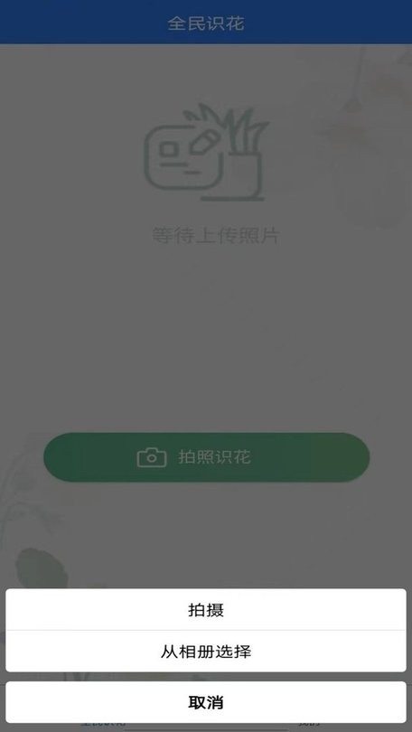 全民识花 全民识花