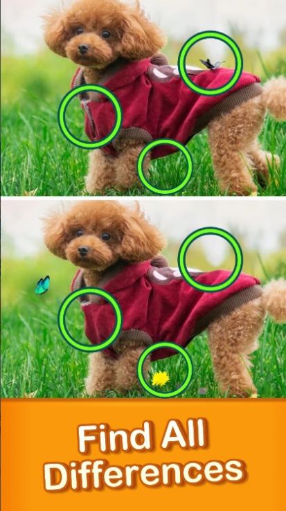 找不同旅行 找不同旅行