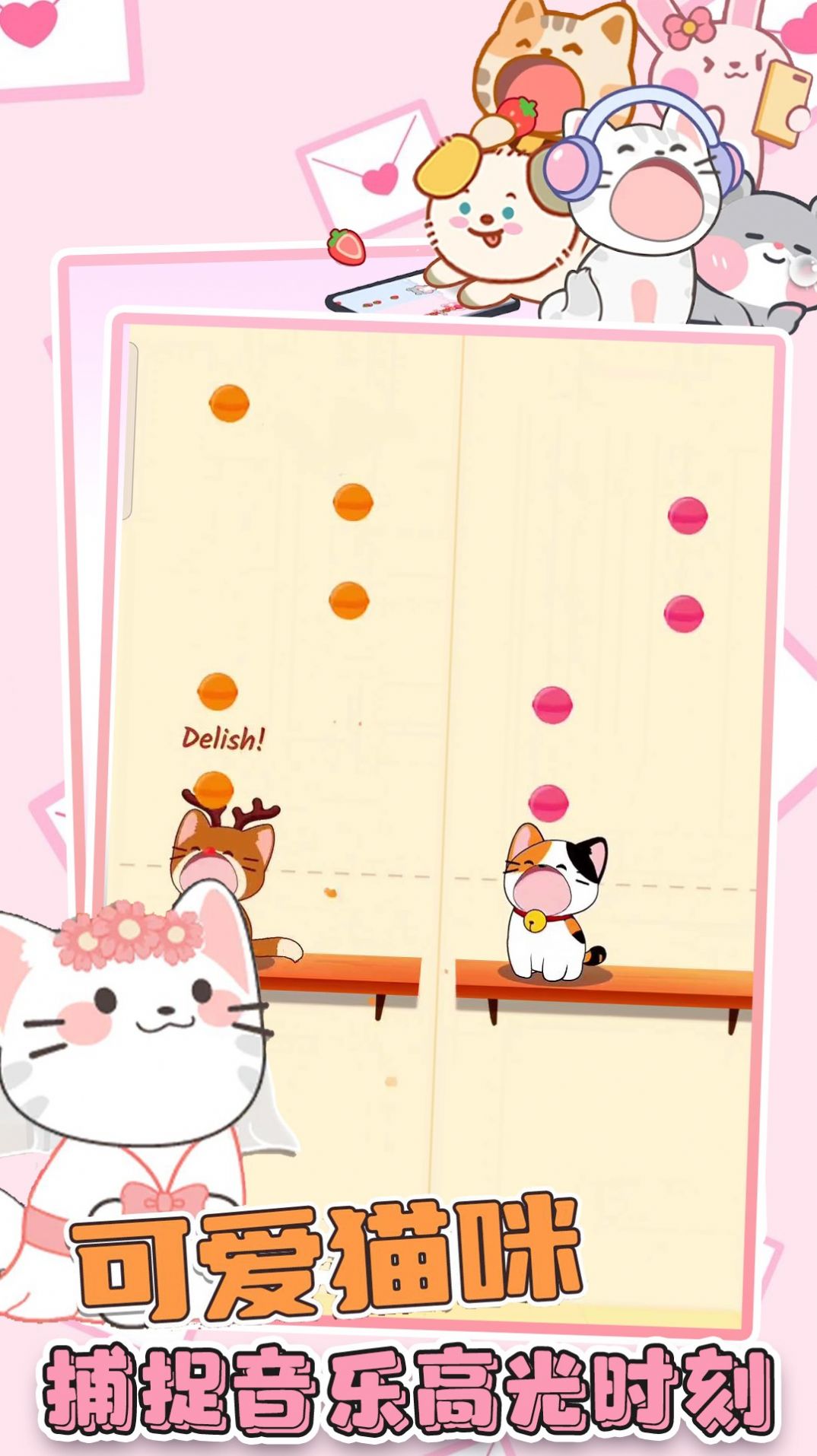 二重奏音乐猫 二重奏音乐猫