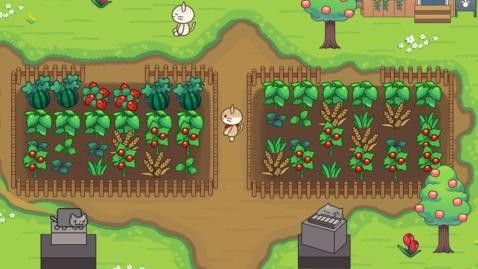 猫咪斗恶龙中文版 猫咪斗恶龙中文版