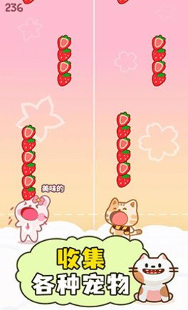 卡哇伊二重奏 卡哇伊二重奏