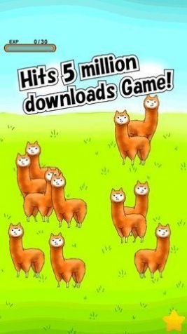 兄贵羊驼 兄贵羊驼