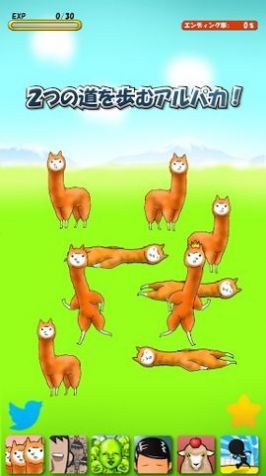 兄贵羊驼 兄贵羊驼