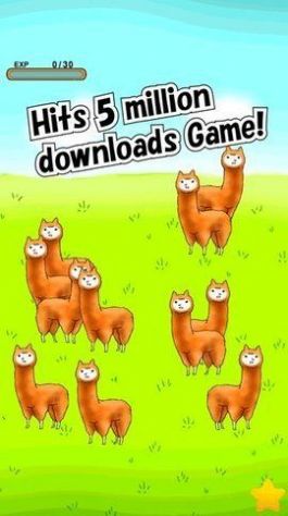 兄贵羊驼 兄贵羊驼